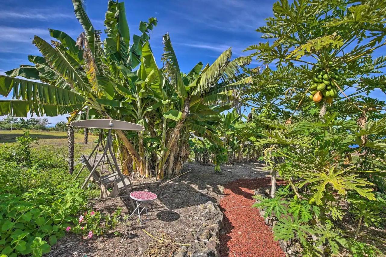 Tranquility Guest House Holualoa Exterior foto